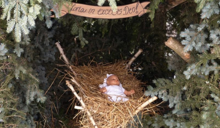 2. fotografia fotogalérie Betlehem 2014