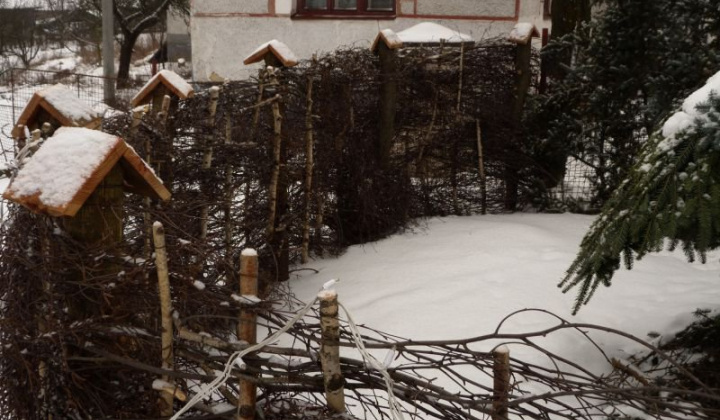 4. fotografia fotogalérie Betlehem 2014