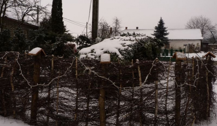 5. fotografia fotogalérie Betlehem 2014