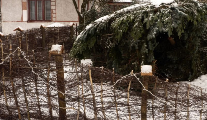 6. fotografia fotogalérie Betlehem 2014