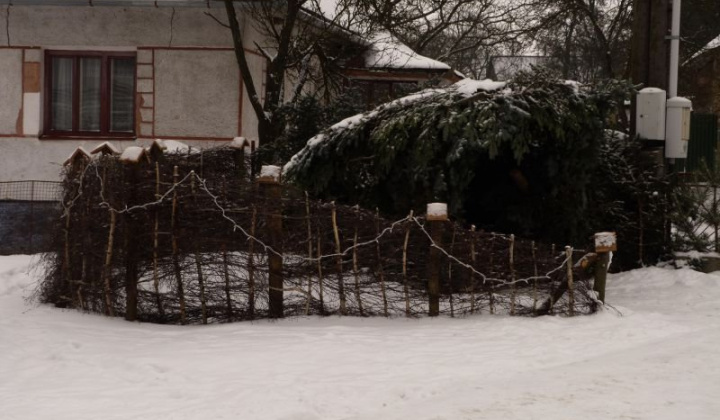 13. fotografia fotogalérie Betlehem 2014