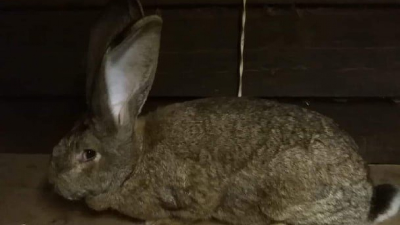 Fotografia fotogalérie Briškar