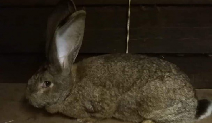 1. fotografia fotogalérie Briškar