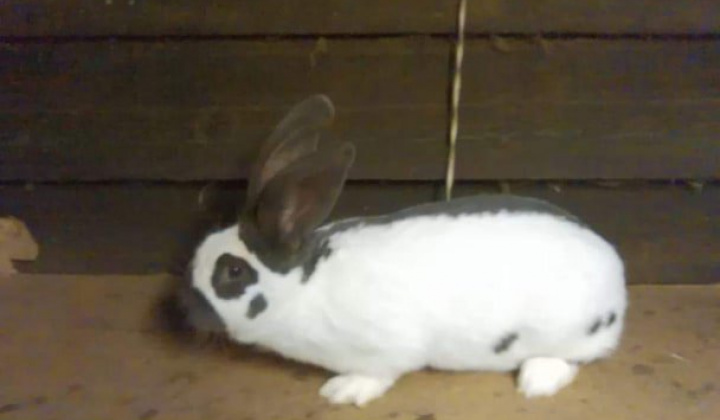 5. fotografia fotogalérie Briškar