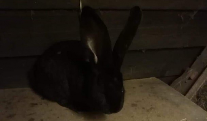 7. fotografia fotogalérie Briškar