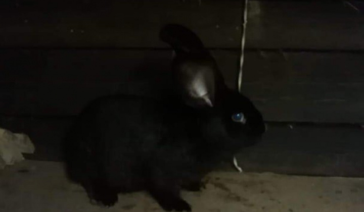 24. fotografia fotogalérie Briškar