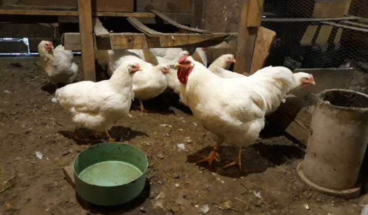 10. fotografia fotogalérie Jozef Gall