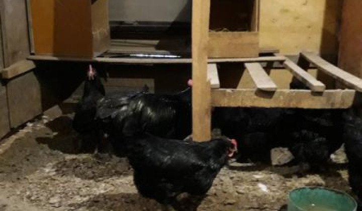 15. fotografia fotogalérie Jozef Gall