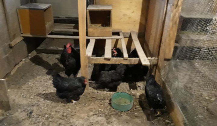 18. fotografia fotogalérie Jozef Gall