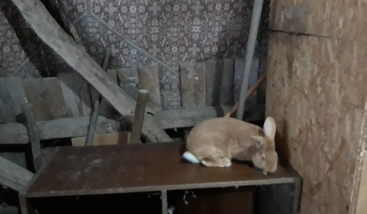 22. fotografia fotogalérie Jozef Gall