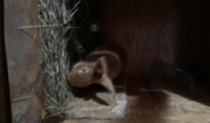 24. fotografia fotogalérie Jozef Gall