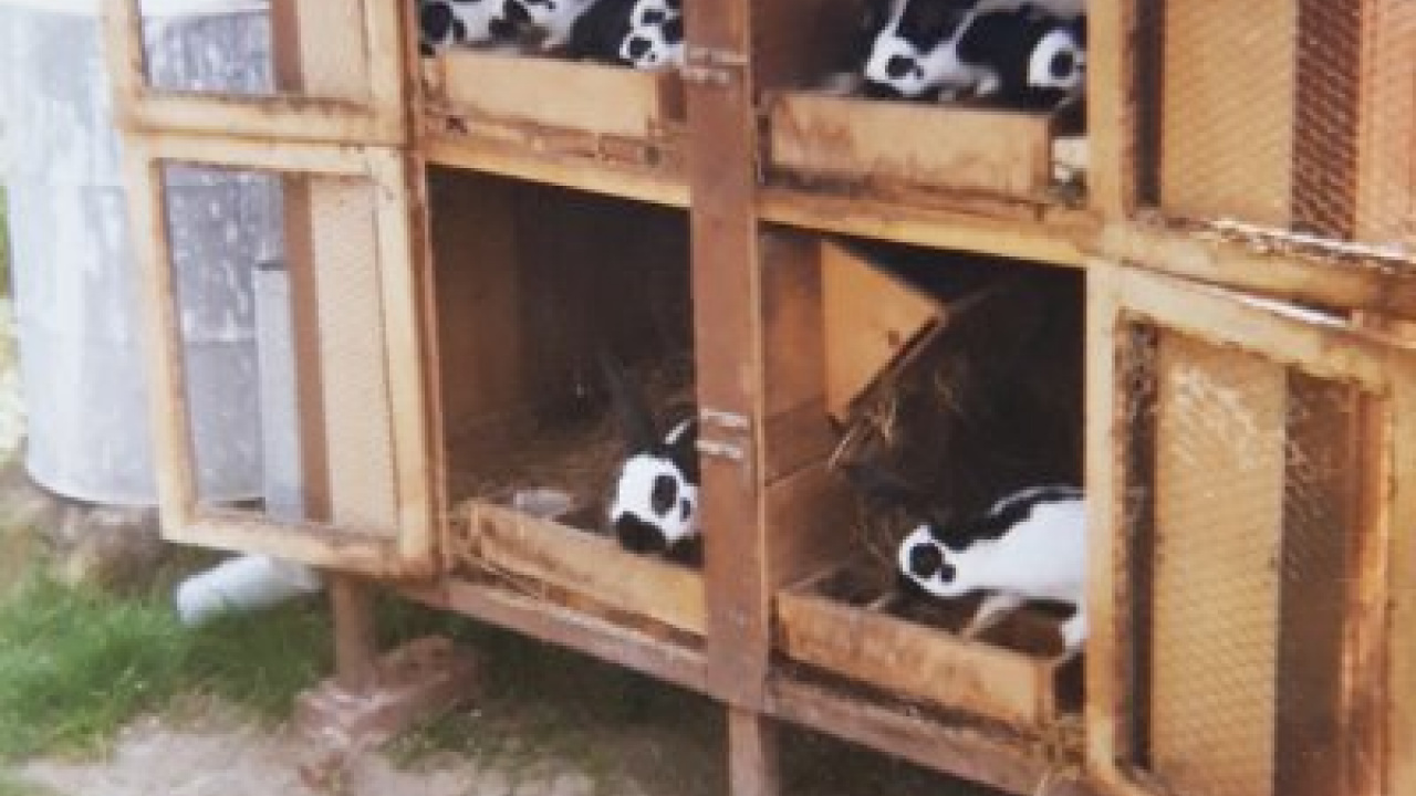 Fotografia fotogalérie Peter Fečo