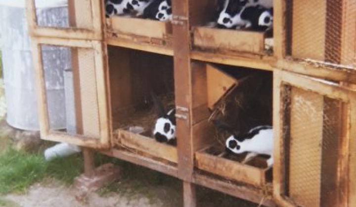 1. fotografia fotogalérie Peter Fečo