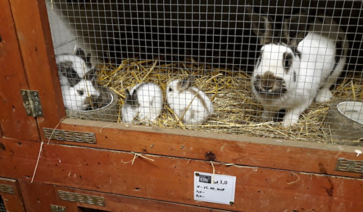 7. fotografia fotogalérie Peter Fečo