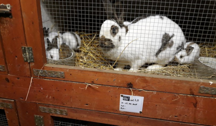 9. fotografia fotogalérie Peter Fečo