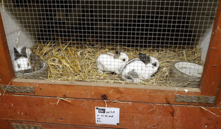 12. fotografia fotogalérie Peter Fečo