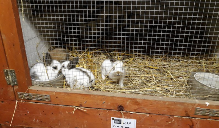 15. fotografia fotogalérie Peter Fečo