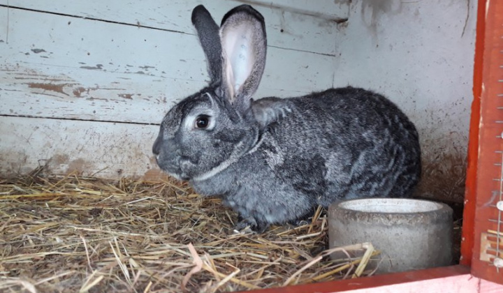 20. fotografia fotogalérie Peter Fečo