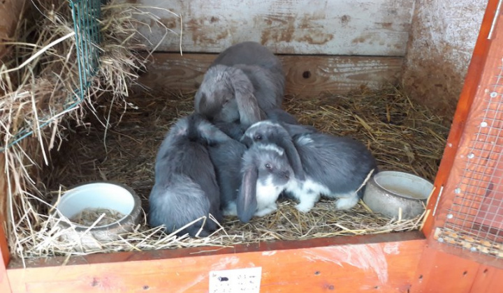 22. fotografia fotogalérie Peter Fečo