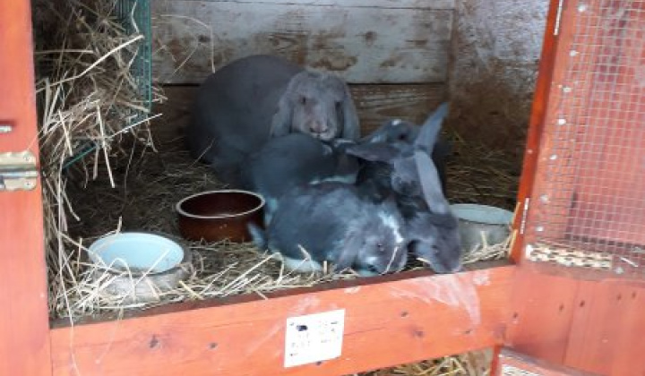 24. fotografia fotogalérie Peter Fečo