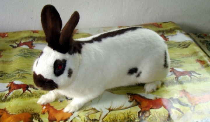 3. fotografia fotogalérie Štefan Krištof