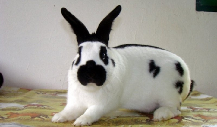 4. fotografia fotogalérie Štefan Krištof