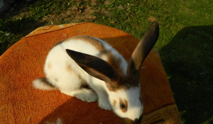 8. fotografia fotogalérie Štefan Krištof