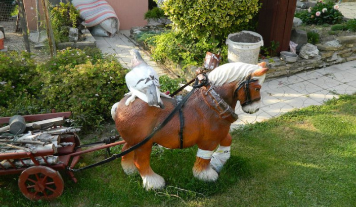 10. fotografia fotogalérie Štefan Krištof