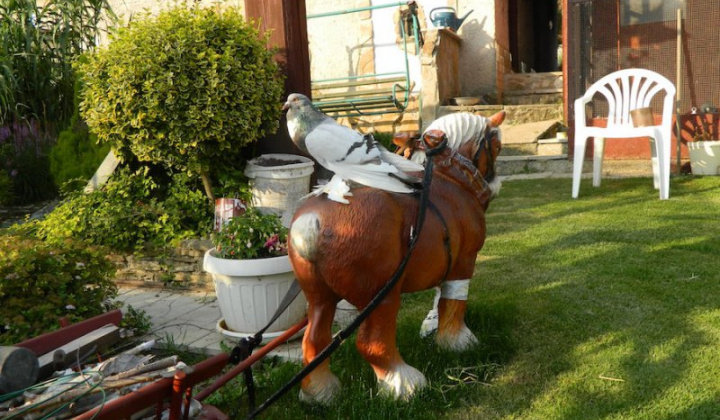 11. fotografia fotogalérie Štefan Krištof