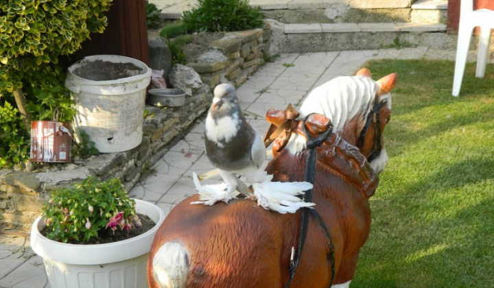 12. fotografia fotogalérie Štefan Krištof