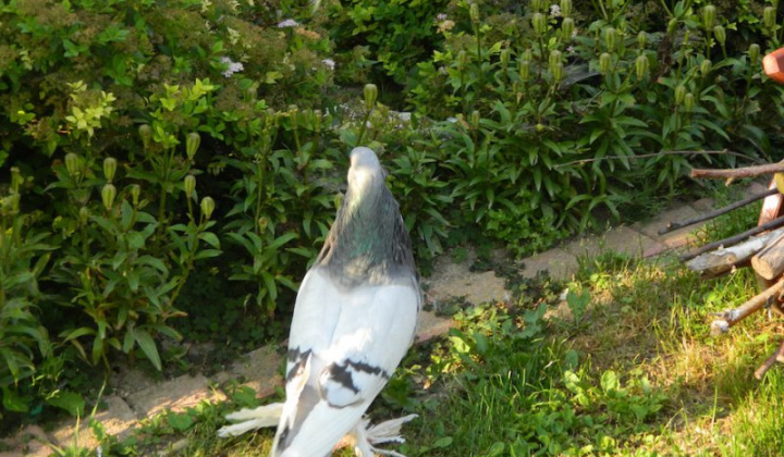 16. fotografia fotogalérie Štefan Krištof