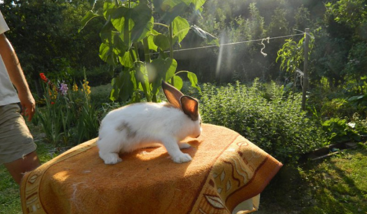 20. fotografia fotogalérie Štefan Krištof