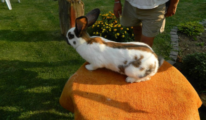 21. fotografia fotogalérie Štefan Krištof