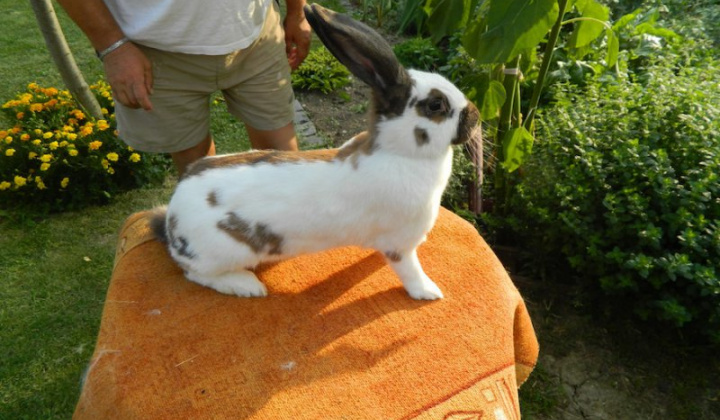 22. fotografia fotogalérie Štefan Krištof