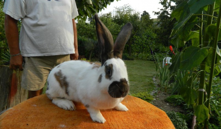 24. fotografia fotogalérie Štefan Krištof