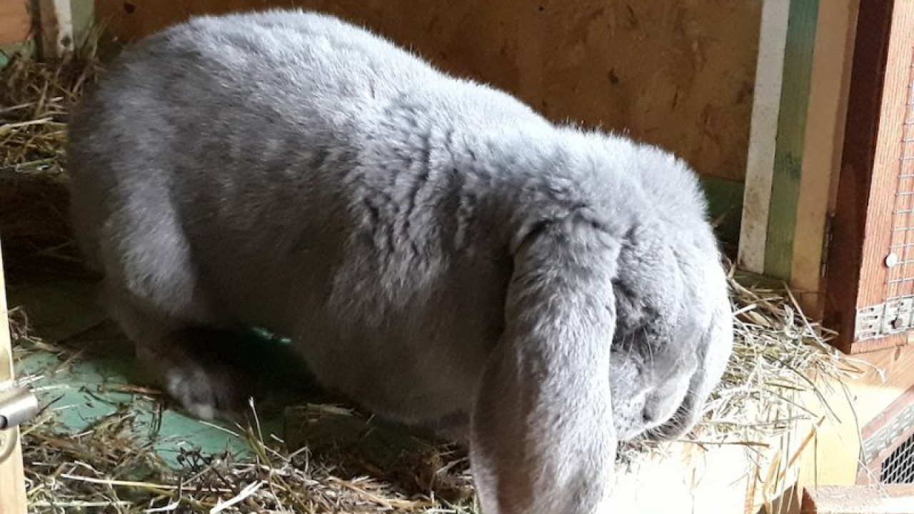 Fotografia fotogalérie Jozef Varga