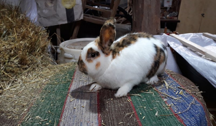 8. fotografia fotogalérie Jozef Varga