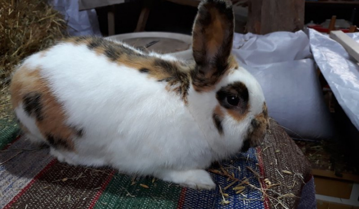 9. fotografia fotogalérie Jozef Varga