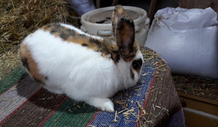 10. fotografia fotogalérie Jozef Varga