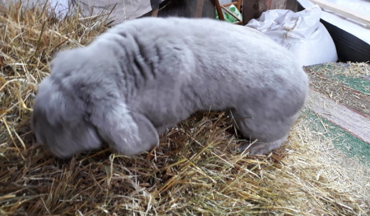 11. fotografia fotogalérie Jozef Varga