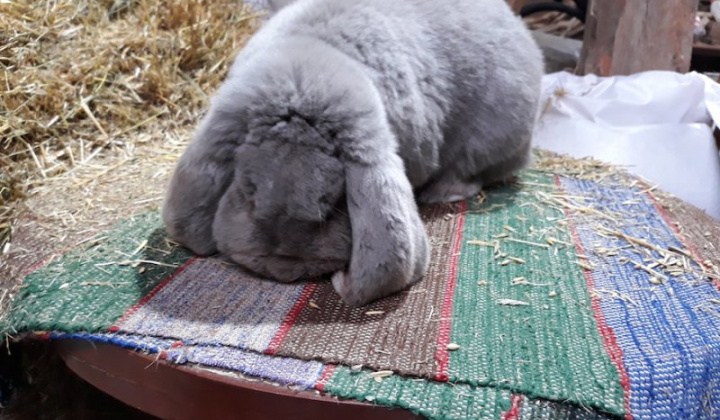 12. fotografia fotogalérie Jozef Varga