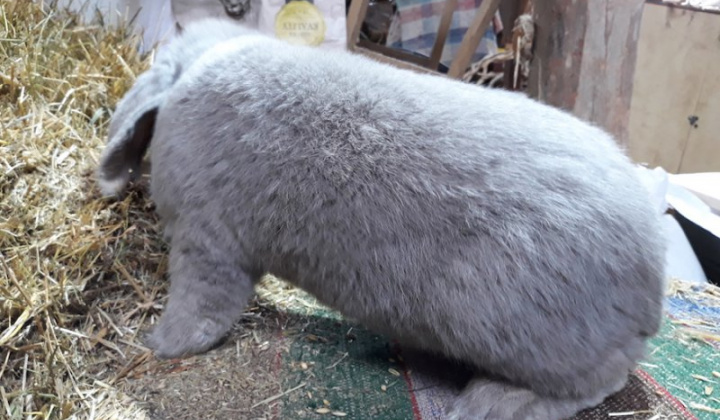 14. fotografia fotogalérie Jozef Varga