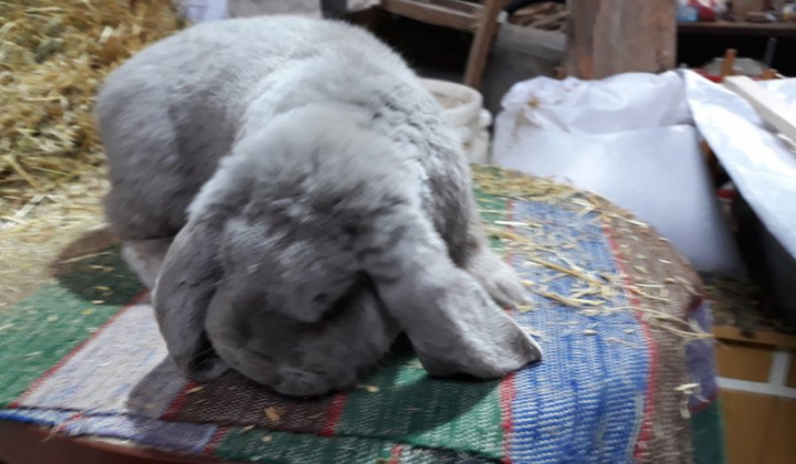 16. fotografia fotogalérie Jozef Varga