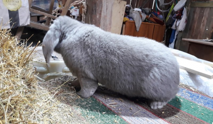 17. fotografia fotogalérie Jozef Varga