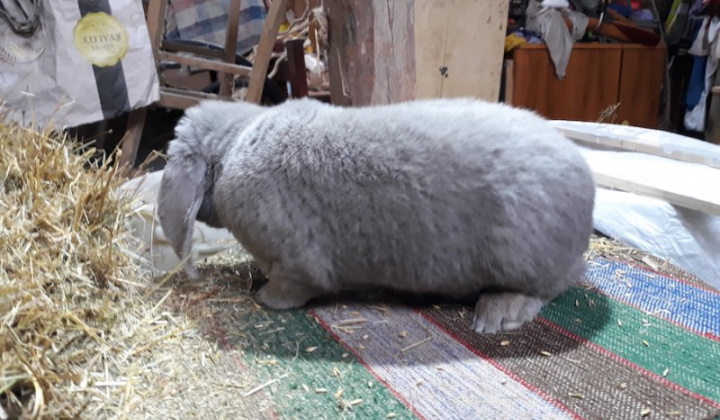 18. fotografia fotogalérie Jozef Varga