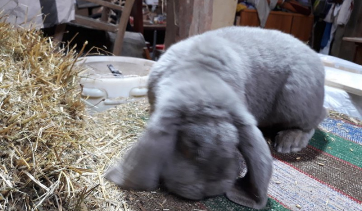 19. fotografia fotogalérie Jozef Varga