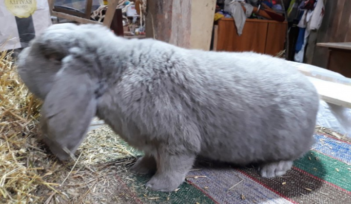 20. fotografia fotogalérie Jozef Varga