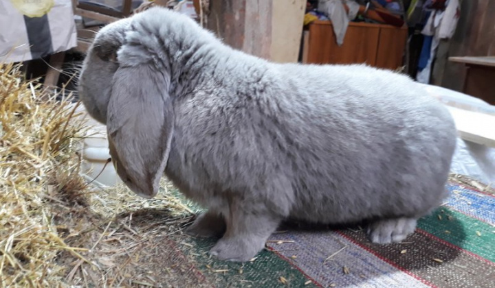 21. fotografia fotogalérie Jozef Varga