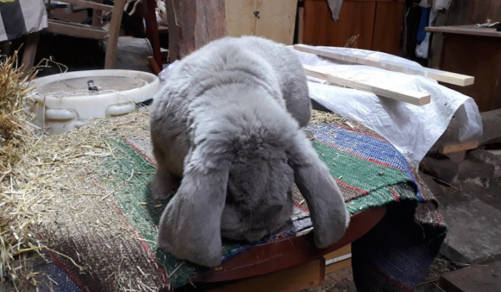 22. fotografia fotogalérie Jozef Varga