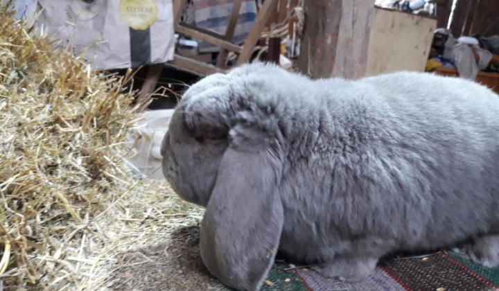 23. fotografia fotogalérie Jozef Varga